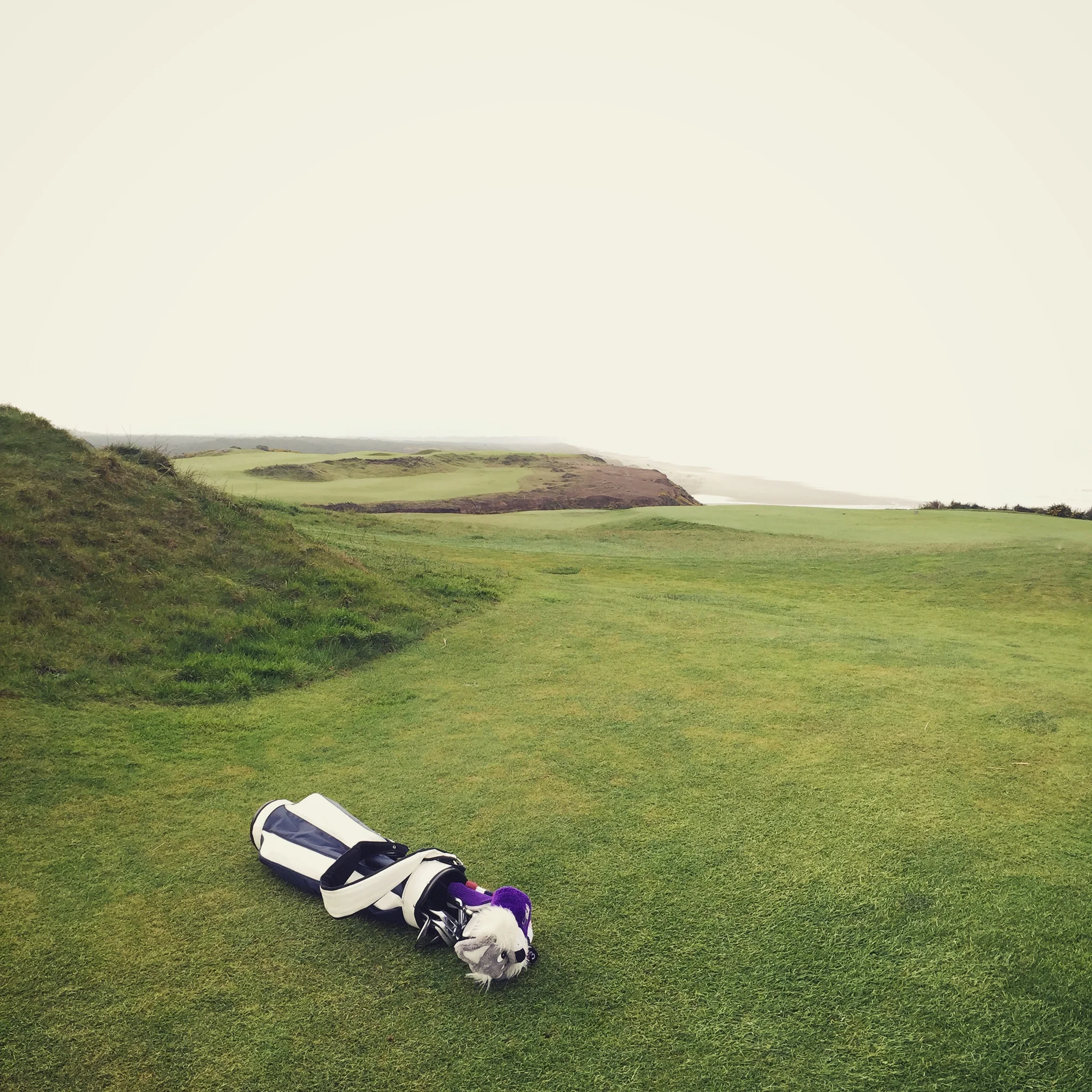 Original Jones Bag - Navy/White - Image 6